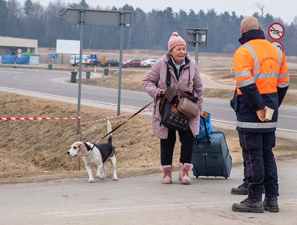 Koffer, drei Taschen und Hund Sammy: das mitgebrachte Hab und Gut dieser Frau. Im Hintergrund: die Grenze.
