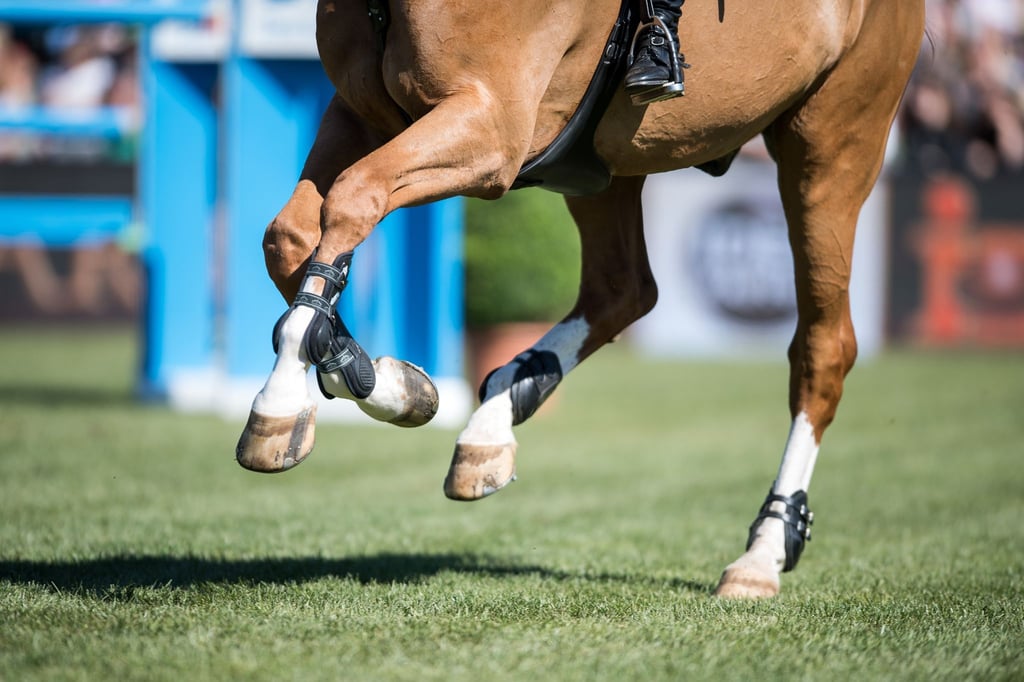 Die Global Champions Tour umfasst in diesem Jahr insgesamt 17 Reitturniere.