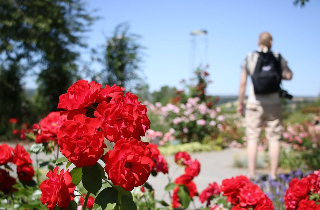 In den Kalender gehört auch das Berg- und Rosenfest Ende Juni.