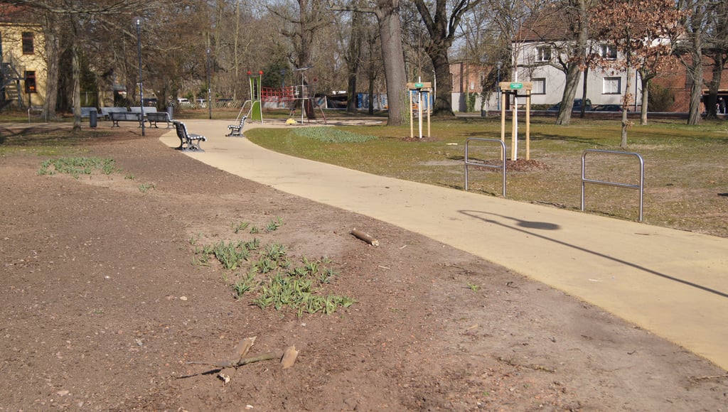 Die zerstörte Eiche war von den Lustgrabenbewohnern gespendet worden, den Stadtpark hatte Wolmirstedt gerade aufwändig saniert.