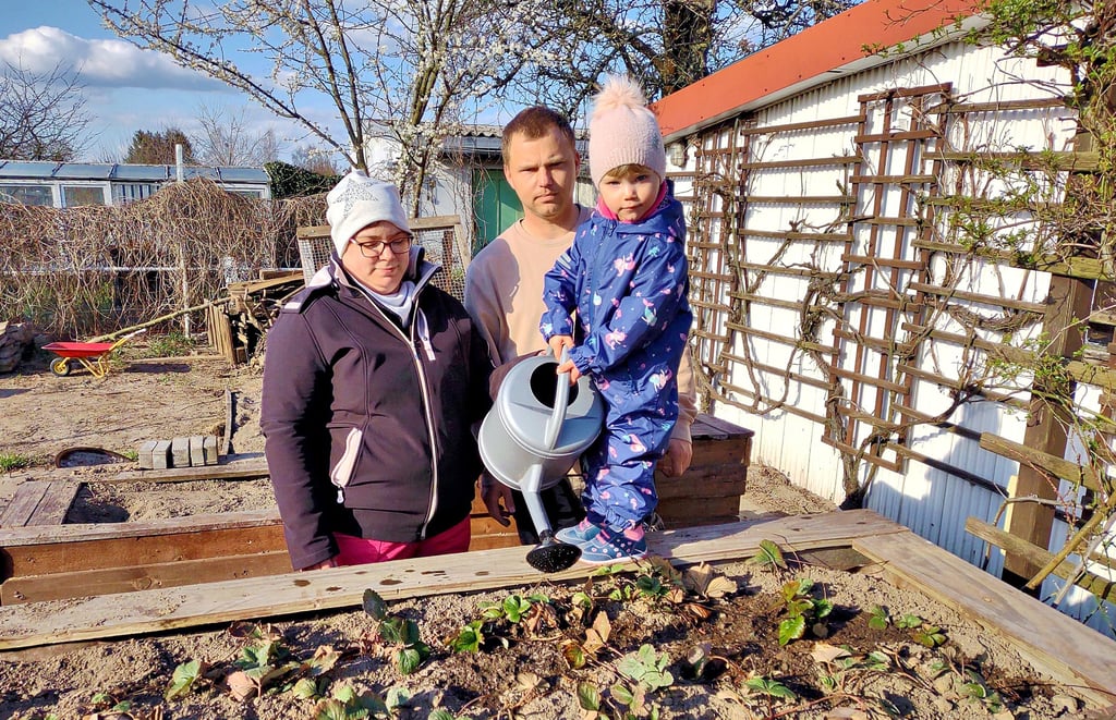 Die zweijährige Ronja Hubatsch gießt die Erdbeerpflanzen auf einem Hochbeet. Ihre Mutti und ihr Vati passen dabei auf die Tochter auf. Am 22. März wird übrigens Ronjas dritter Geburtstag gefeiert. Vielleicht sogar im Gartenhäuschen.