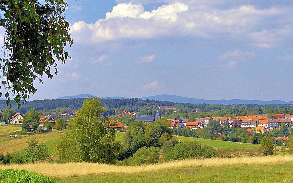 Der Blick über den Pfeiferberg zeigt Benneckenstein von seiner besten Seite.