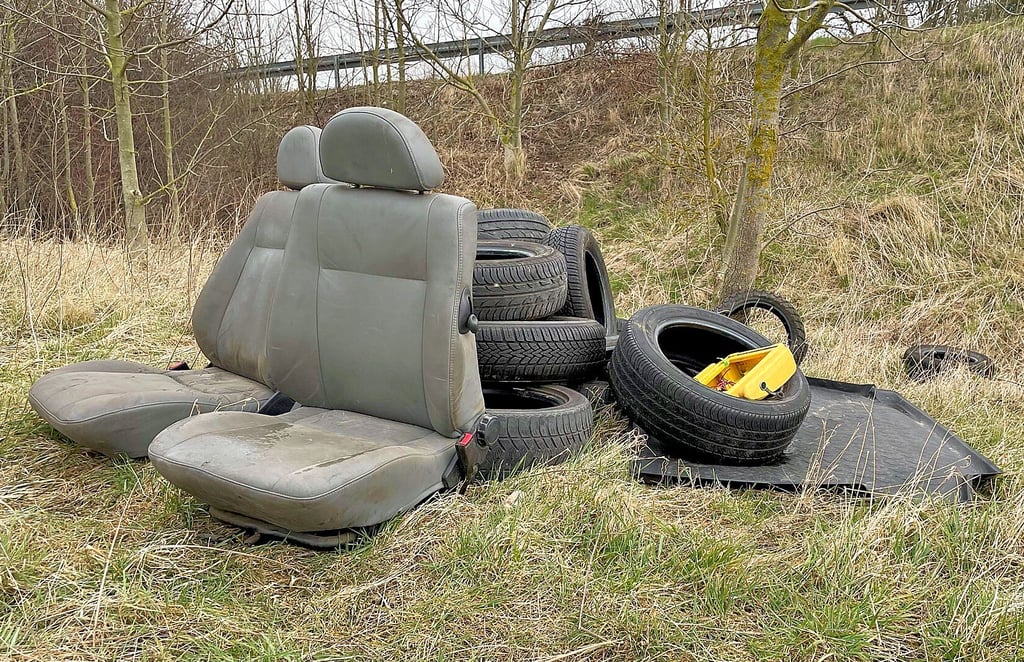 Zwischen Wolmirstedt und Mose wurden zwischen dem 11. und 13. März illegal Autoteile entsorgt. Neben Reifen und Sitzen findet man auch Radkappen.