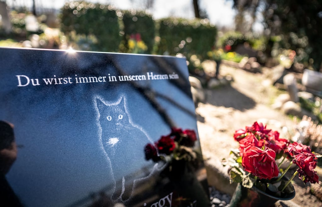 Viele Tierhalter möchten ihre Tiere würdevoll bestatten. Insbesondere Katzen, die ungechippte Freigänger sind, verenden jedoch oft anonym im Straßengraben und werden dann einfach entsorgt. Das Tierbergungsteam Magdeburg versucht dennoch ihre Halter ausfindig zu machen.