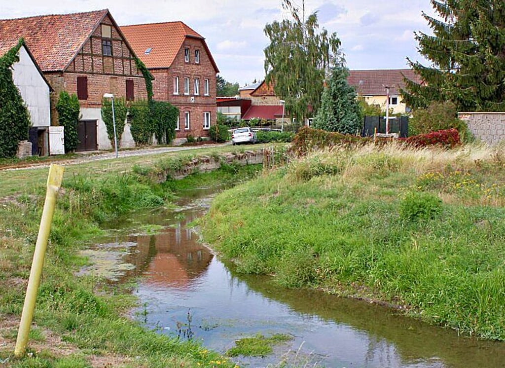 In Harsleben fließt der Niederschlag vorwiegend direkt in den Goldbach. Dennoch fallen für die Anlieger Gebühren an.