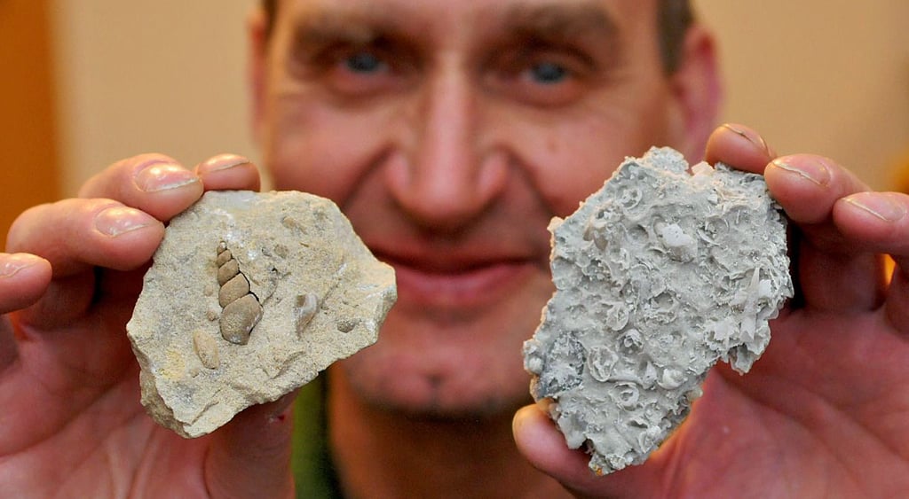 Hobbygeologe Armin Serfling zeigt Muschel- und Schneckenüberreste aus dem Muschelkalk-Zeitalter; links erhalten als Steinkern, rechts mit „Ersatzschalen“ aus Coelestin.