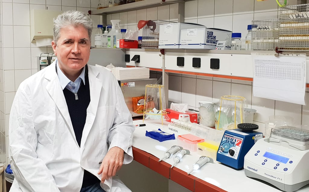 Die Forschergruppe um Dr. Sylvestre Marillonnet, hier im Labor des Leibniz-Instituts in Halle, modifiziert Plfanzen gentechnisch.