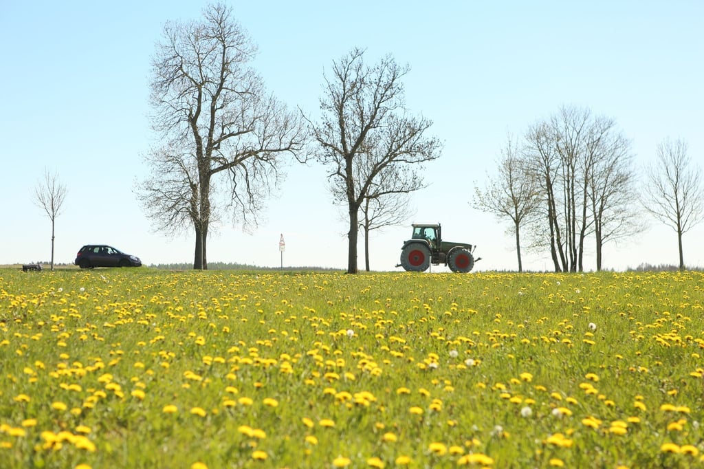 Trügerische Idylle: Beim Überholmanövern kann es zu schweren Unfällen kommen.