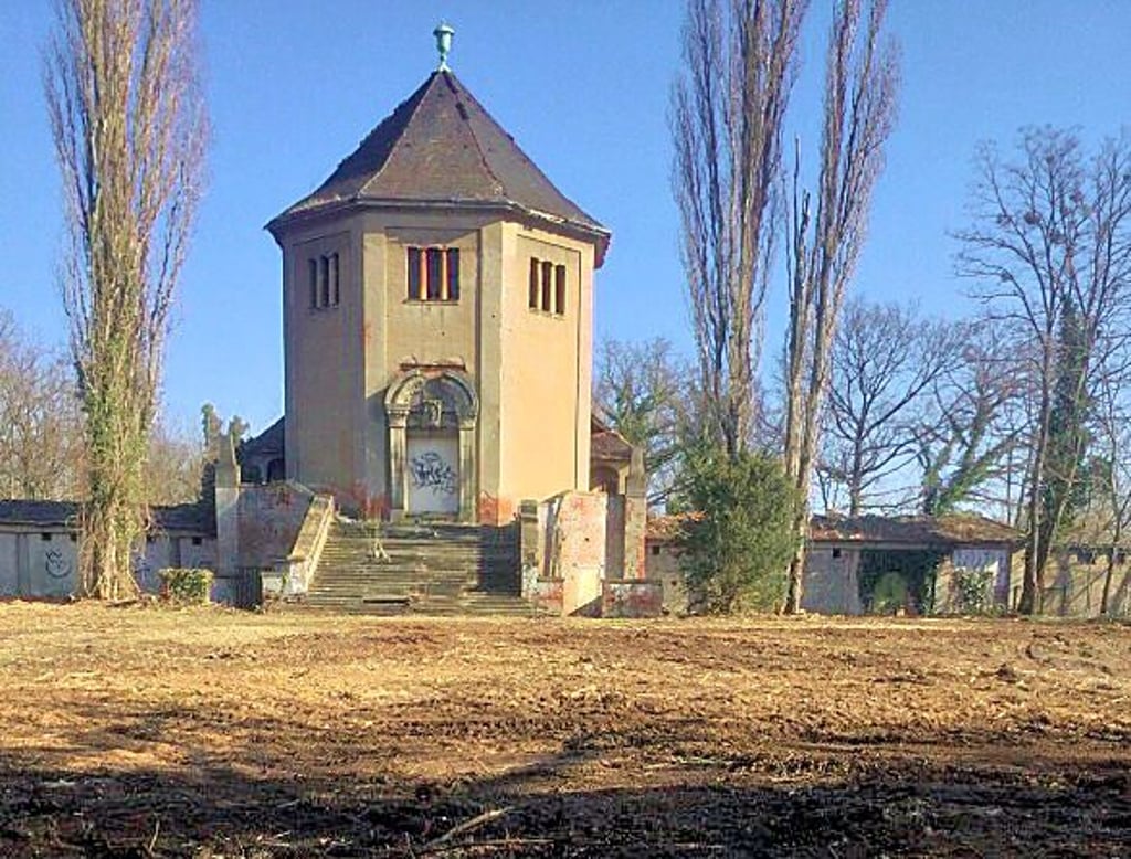 Der Wildwuchs am Krematorium ist beräumt.