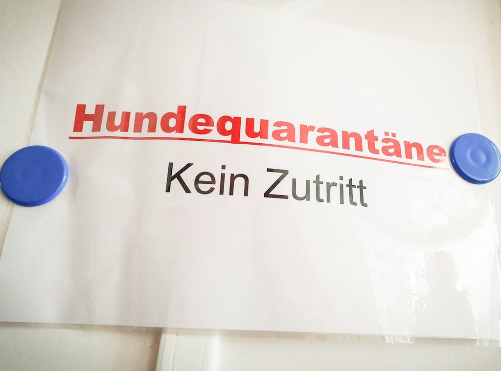 Mitgeflüchtete Haustiere aus der Ukraine müssen gegebenenfalls in Quarantäne.