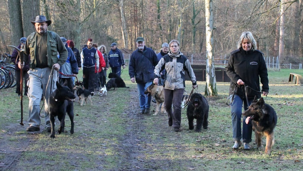 Hundefreunde in Tangerhütte sollen künftig mehr Steuern für ihre Vierbeiner zahlen.