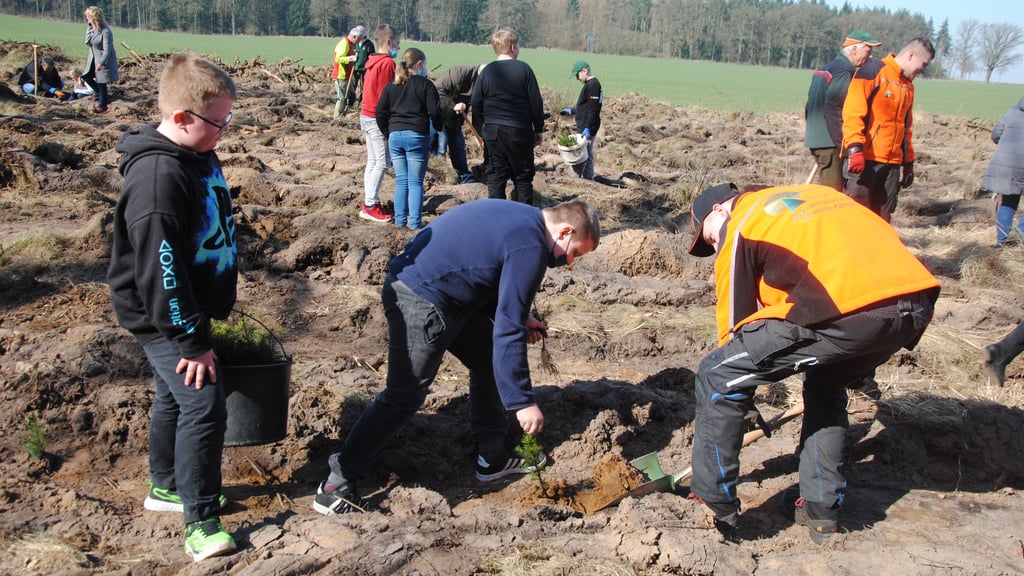 Auf zirka einem Hektar Fläche steckten die Apenburger Viertklässler Douglasien, Roteichen und Küstentannen in die Erde, die zu einem Mischwald heranwachsen sollen.