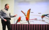 Echte „Chefsache“: Geschäftsführer Uwe Gehrmann probt mit den farbenprächtigen Ara-Papageien Pepito, Oskar und Karlchen (von links). 