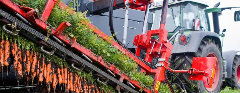 Mit einem einzigartigen Konzept der Landsicherung kauft die BioBoden Genossenschaft Ackerflächen in ganz Deutschland auf und verpachtet sie an Landwirte mit Plänen für eine ökologische Landwirtschaft. Aber nur, wenn sie darum gebeten wird. Symbolbild:
