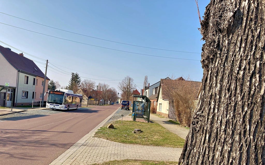 In der Lindenstraße in Ilberstedt fehlen acht bis neun Straßenlaternen, schätzt Bürgermeister Lothar Jänsch.