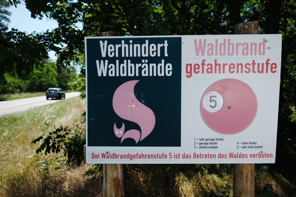 In sieben Regionen Sachsen-Anhalts gilt die zweithöchste Waldbrandwarnstufe.