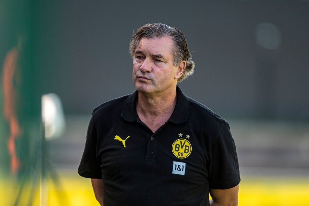 Äußert Verständnis für Hansi Flick: BVB-Sportdirektor Michael Zorc.