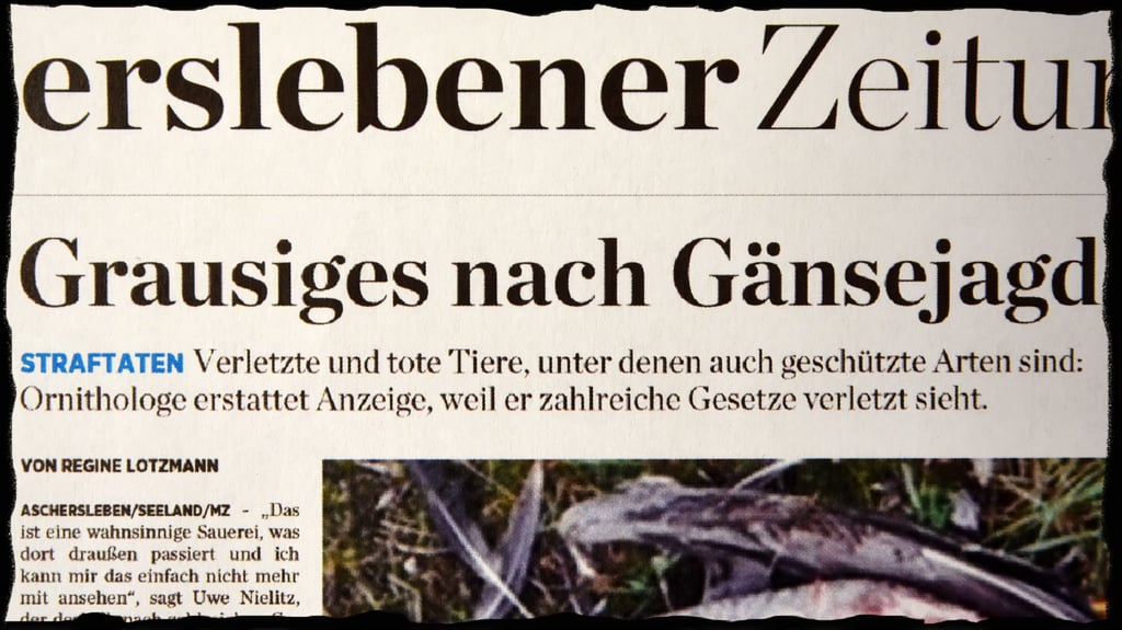 Über eine Anzeige und die Berichterstattung ärgern sich die Jäger.