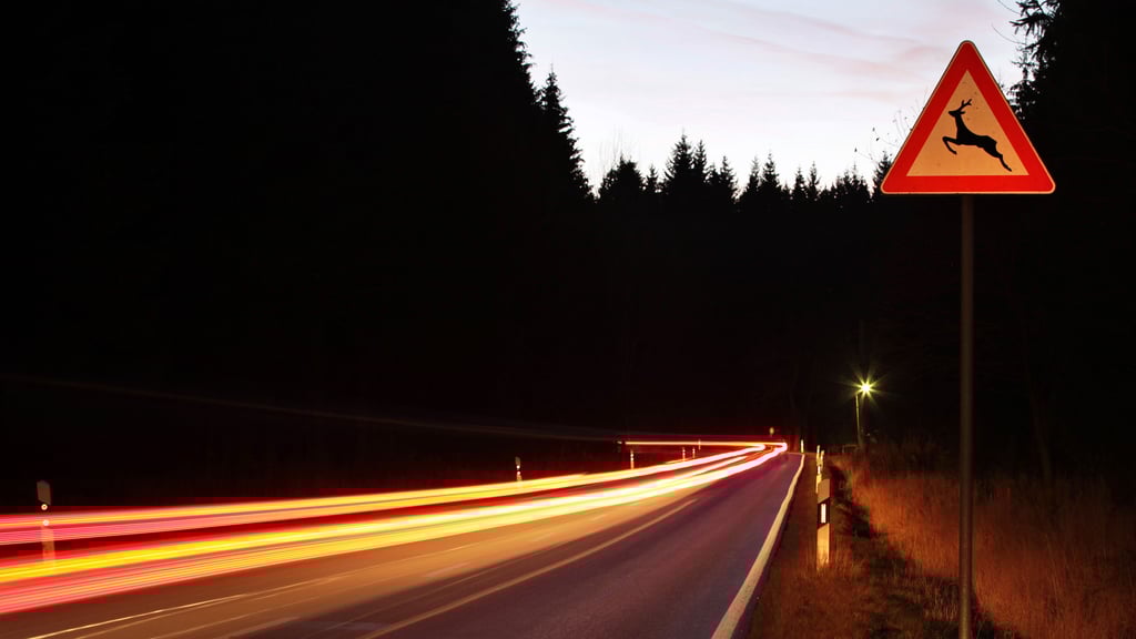 Ein Verkehrsschild warnt vor Wildwechsel an einer Landstraße.