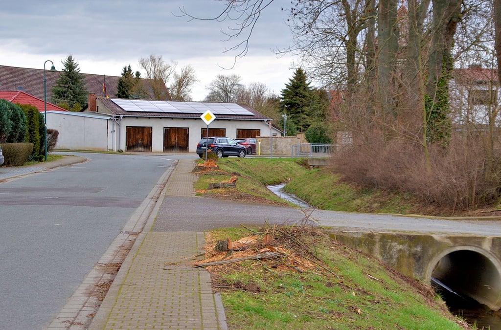 Am kommenden Montag rücken die Bagger an, um den letzten Bauabschnitt der L77 in Ausleben in Angriff zu nehmen. Umstritten war das Fällen von acht Bäumen, die den Straßenrand säumten.
