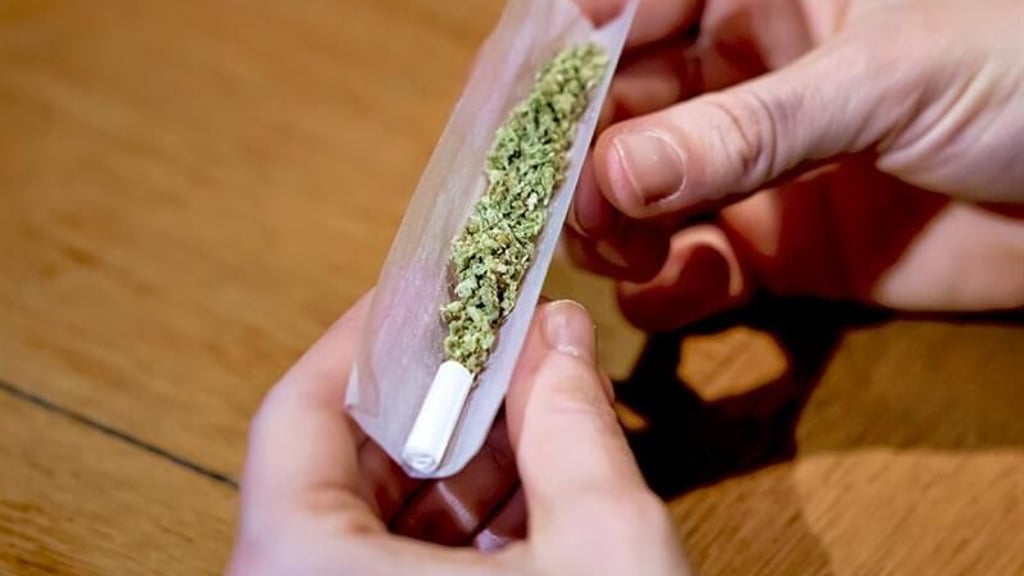 Eine aktuelle Studie sagt, dass Inhaltsstoffe von Canabis vor einer Corona-Infektion schützen können.