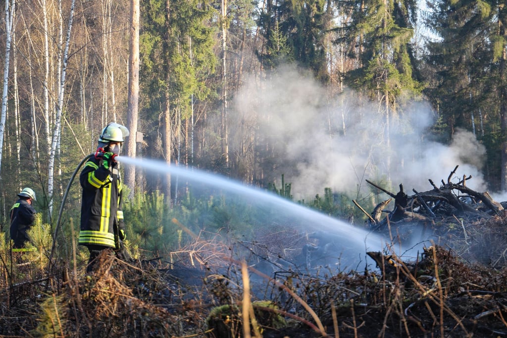 Das trockene Wetter lässt sie Waldbrandgefahr steigen.