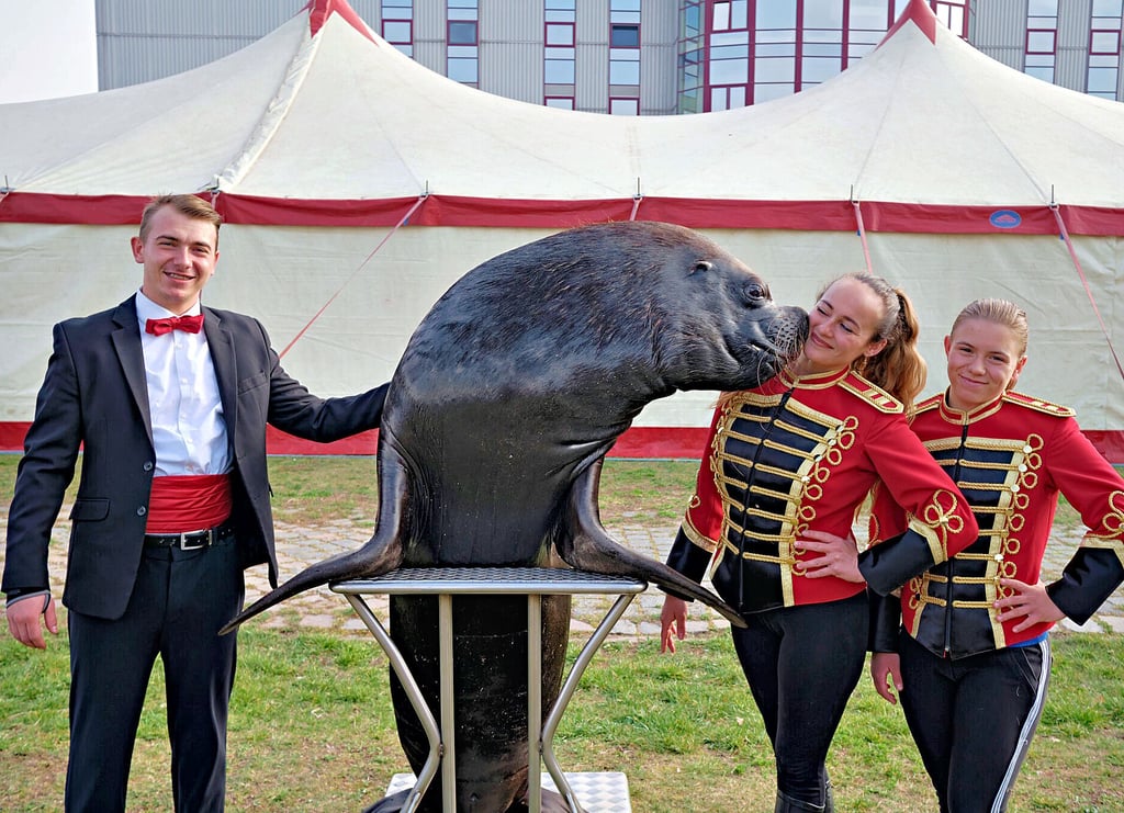 Beim Zirkus Berolina treten auch weiterhin Tiere auf.