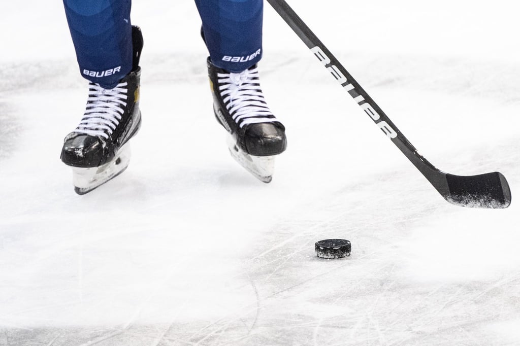 Die Schwenninger Wild Wings verzeichnen einen wichtigen Sieg im DEL-Klassenverbleib.
