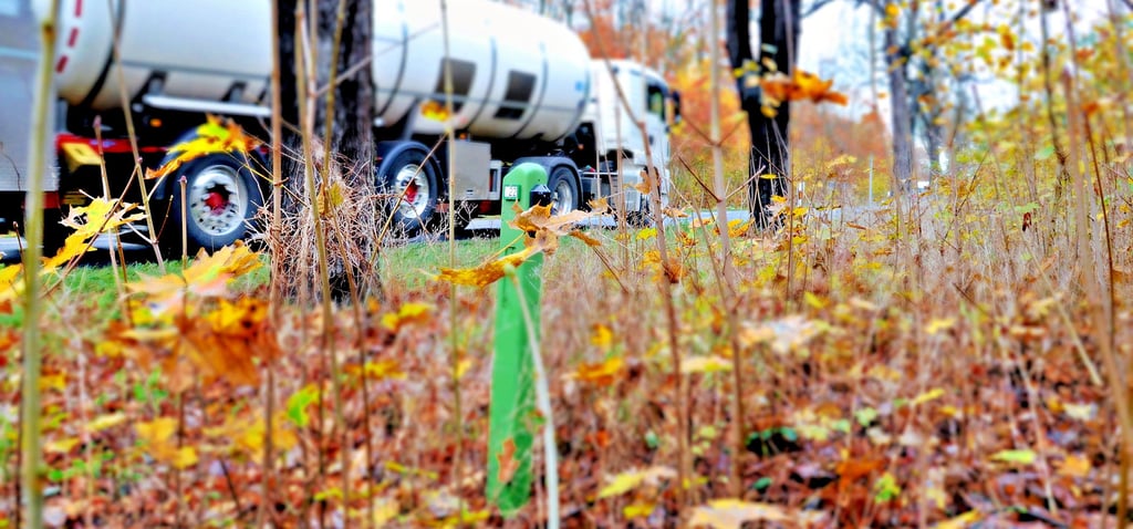 Das Pilotprojekt mit den Wildwarnern an der B 184 zwischen Jütrichau und Tornau ist ausgelaufen. In den vergangenen Tagen wurden sie eingesammelt.