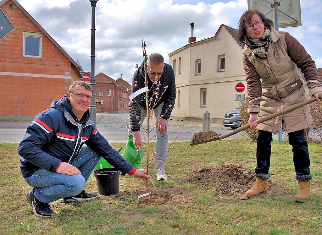Carsten Schröder, Harald Gericke und Yvette Below pflanzten einen Pfirsichbaum als Osterbaum.