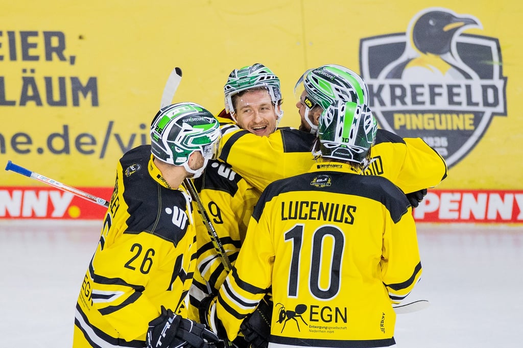 Stehen derzeit am Ende der Tabelle der Eishockey-Liga: Krefeld Pinguine.