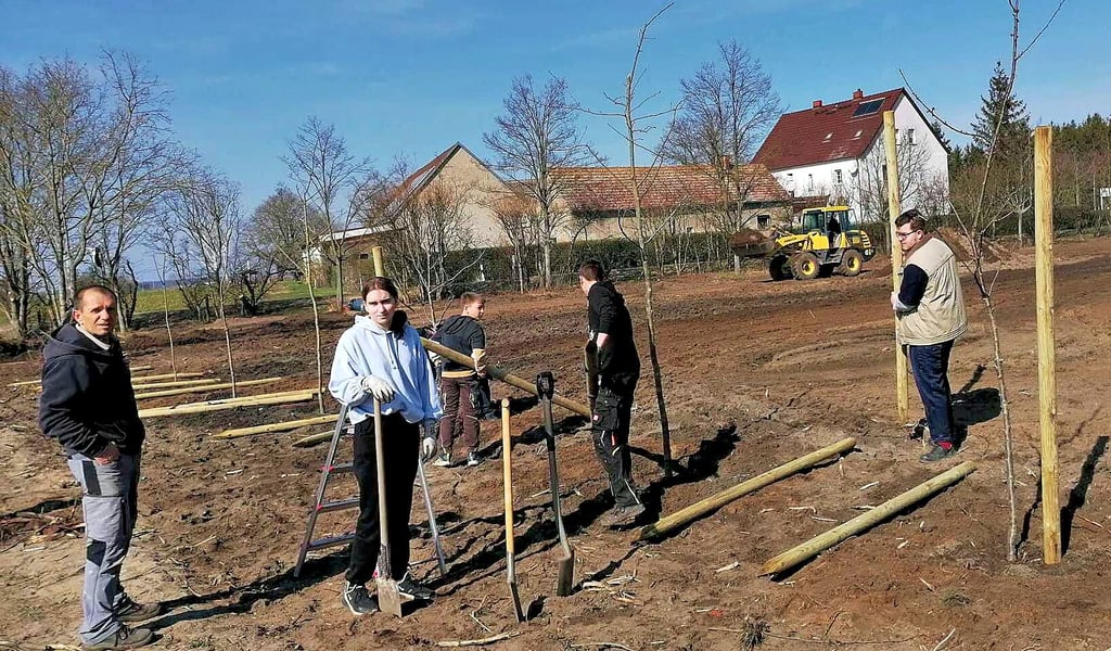 Jung und alt packen gemeinsam an. Die Einwohner von Bethau nutzten die Frühjahrsputz-Aktion der Stadt Annaburg nicht nur, um Bäume zu pflanzen.