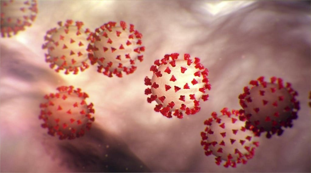 Das Coronavirus