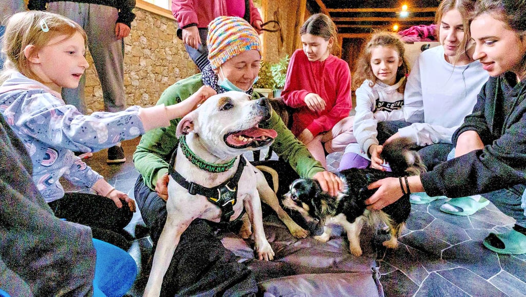 Ein bisschen Freude in schwerer Zeit: Ein Therapie-Hundeteam aus Wittenberg besucht Flüchtlinge in der Erstaufnahmeeinrichtung.