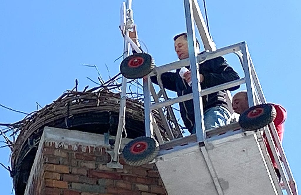 Am Storchennest in Aderstedt wurde eine kleine Outdoor-Kamera an einem Mast installiert, die Einblicke direkt ins Nest ermöglicht.