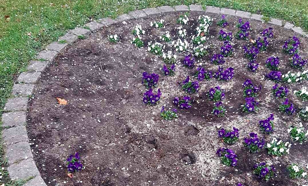 Gerade erst bepflanzt, wurden manche Beete und Rabatten im Stadtgebiet schon wieder geplündert.