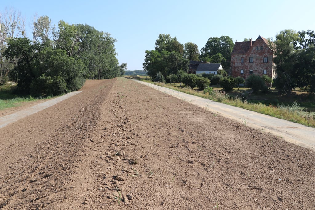 So sah der Elbedeich an der Burg Klöden während des Baus im Sommer 2020 aus.