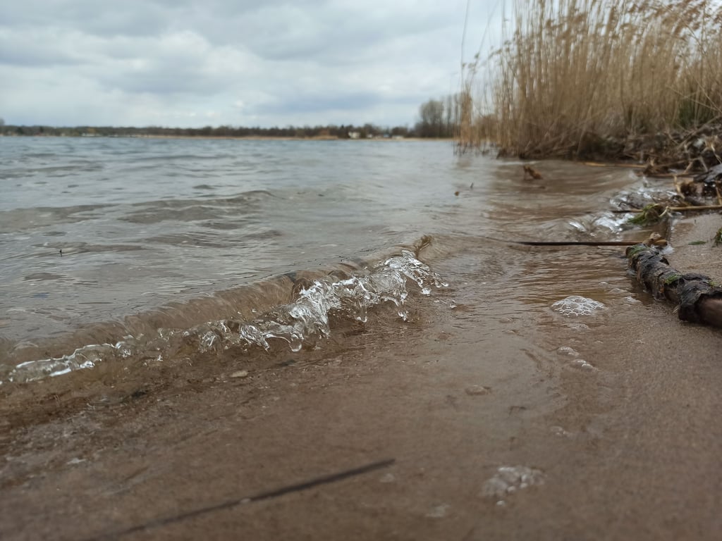 Der Barleber See in Magdeburg ist ein beliebtes Strandbad, bereitet aber auch Sorgen.