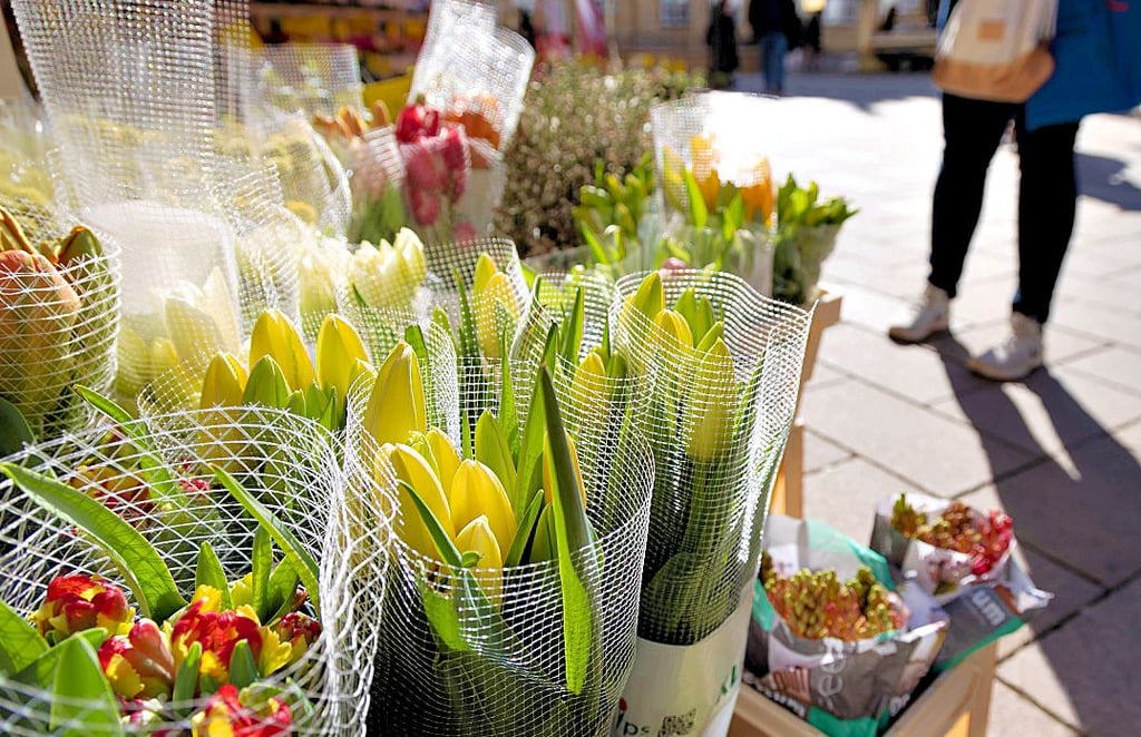 Schnittblumen, gebundene Sträuße und Kräuter sollen am Sonnabend den Frühling auf den Blankenburger Tummelplatz bringen – zum Start des neuen Wochenfrischemarktes.