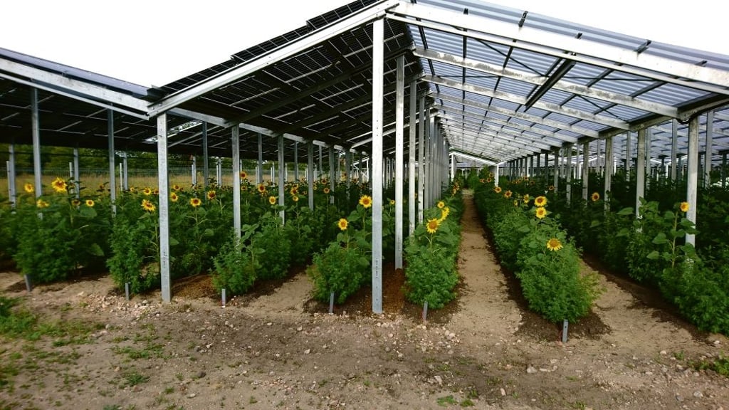 Die Technologie der Agri-Photovoltaik ermöglicht eine andere landwirtschaftliche Nutzung als bisher. In Jerichow wird darüber diskutiert.