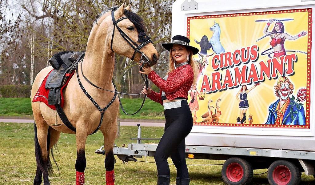Der Circus „Aramannt“ gastiert bis Sonntag in Oranienbaum.