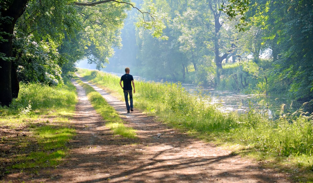 Menschen, die in Ballungsgebieten leben, suchen in der Natur oft einen Rückzugsraum, um Kraft für den Alltag zu tanken. Eine Chance, denn sanfter Tourismus bietet für die Entwicklung im ländlichen Raum viel Potenzial.