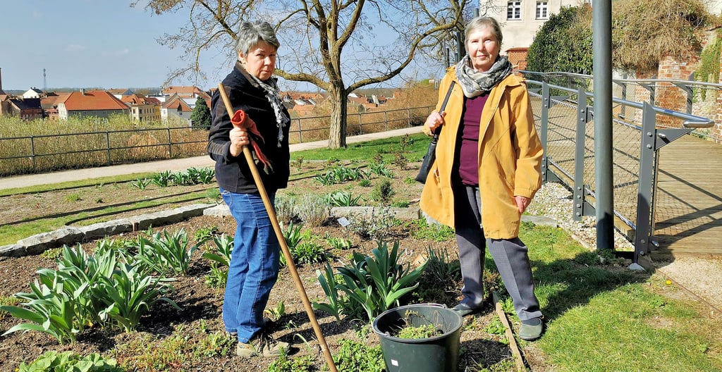 Für den Klostergarten der evangelischen Kirchengemeinde in Havelberg ist Ellen Gericke (links) seit Jahresanfang verantwortlich. Zum ehrenamtlichen Gartenteam gehört weiterhin Karin Zombronner, sie ist schon viele Jahre in der Pflege des Gartens am Dom aktiv.