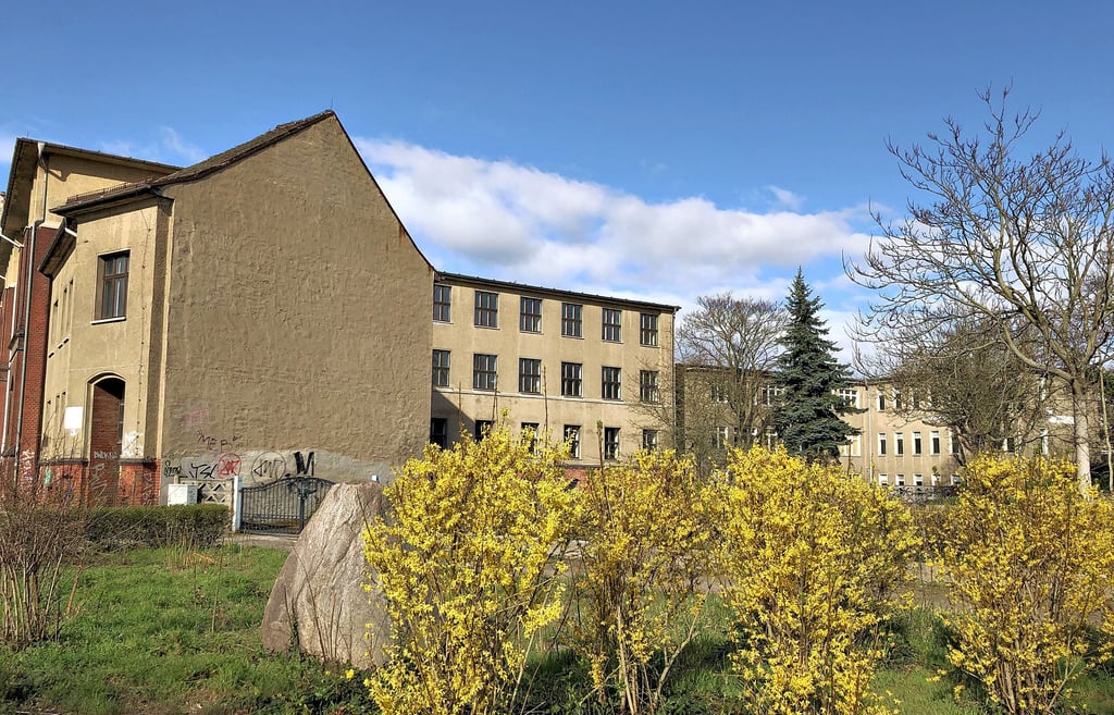 19 Bands und andere Kreative haben die Chaponschule in Dessau seit vielen Jahren genutzt. Jetzt wurde allen Nutzern zum 30. April von der Stadt gekündigt.