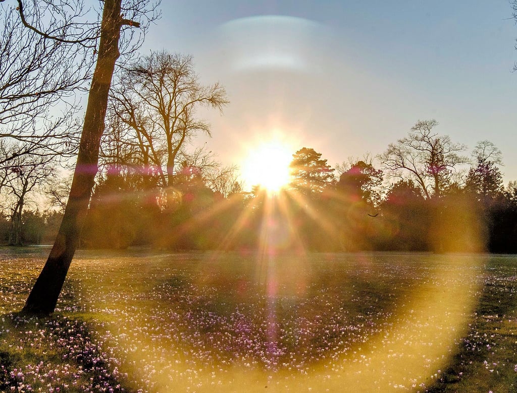 Sonnenschein, wie hier am 13. März im Wörlitzer Park, dominierte den Monat.