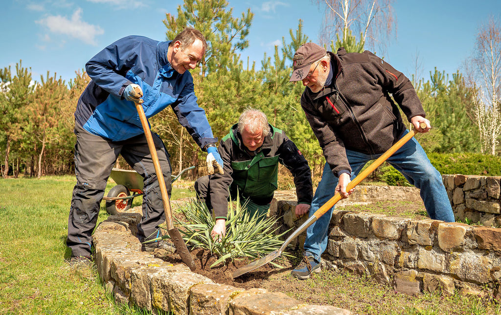 Jens Hünerbein (v.l.), Friedemann Barthels und Ralf Fröhlich pflanzen die letzte von 13 Yucca-Palmen in das Rondell im hinteren Bereich des Heidegartens. Wenn sie eines Tages blühen, sind sie ein wahrer Augenschmaus und werden den Heidegarten weiter aufwerten.