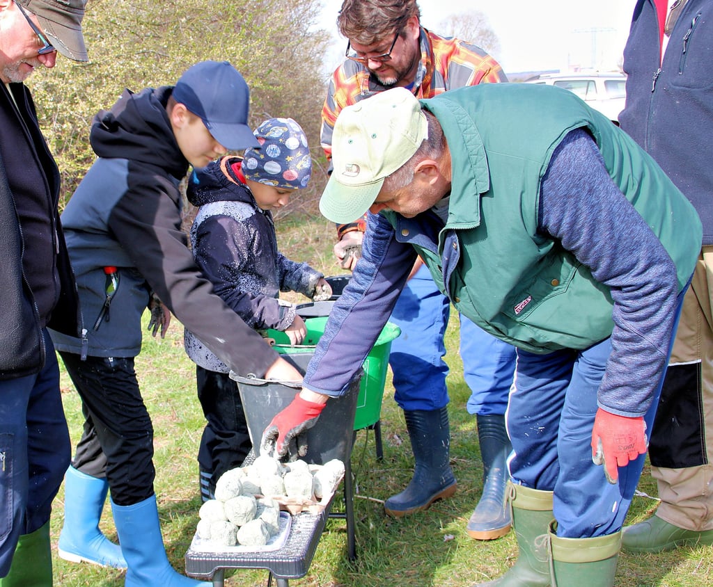 Insgesamt 3000 Kugeln haben die Angler gemeinsam mit ihren Familien, Freunden und Helfern aus der angemischten Biomasse geformt.