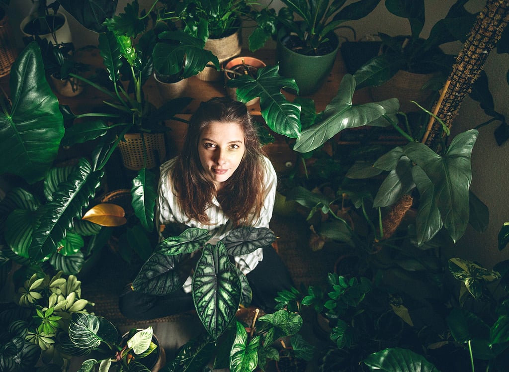 Nora Brandt (29) hat den Trend Urban Jungle für sich entdeckt.