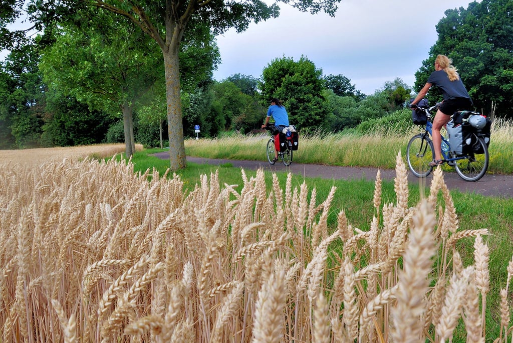 Das Umland Magdeburgs und die Landeshauptstadt Sachsen-Anhalts bieten viele attraktive Strecken für Ausflüge und Wanderungen mit dem Fahrrad.