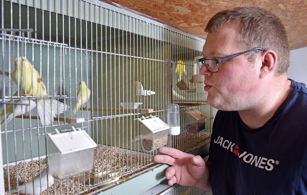 Stefan Kühnel mit seinen Kanarienvögeln